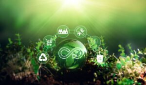 Descubra estratégias de conteúdo para promover produtos sustentáveis online, atraindo consumidores conscientes e aumentando vendas.